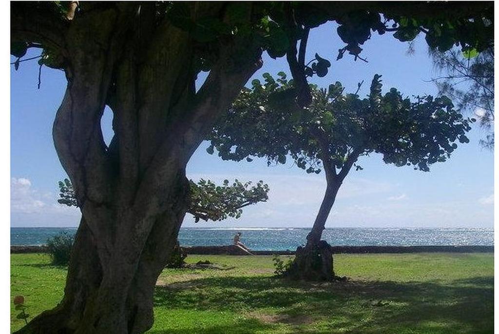 Appartement Corail Sainte-Anne (Grande-Terre)