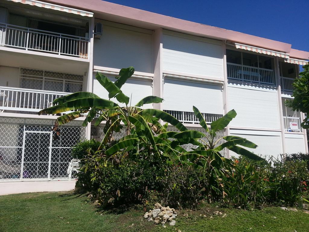 Appartement Corail Sainte-Anne (Grande-Terre)